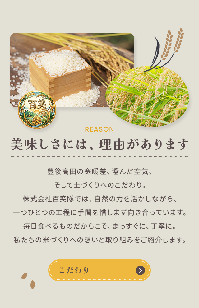 sp_secondmain
