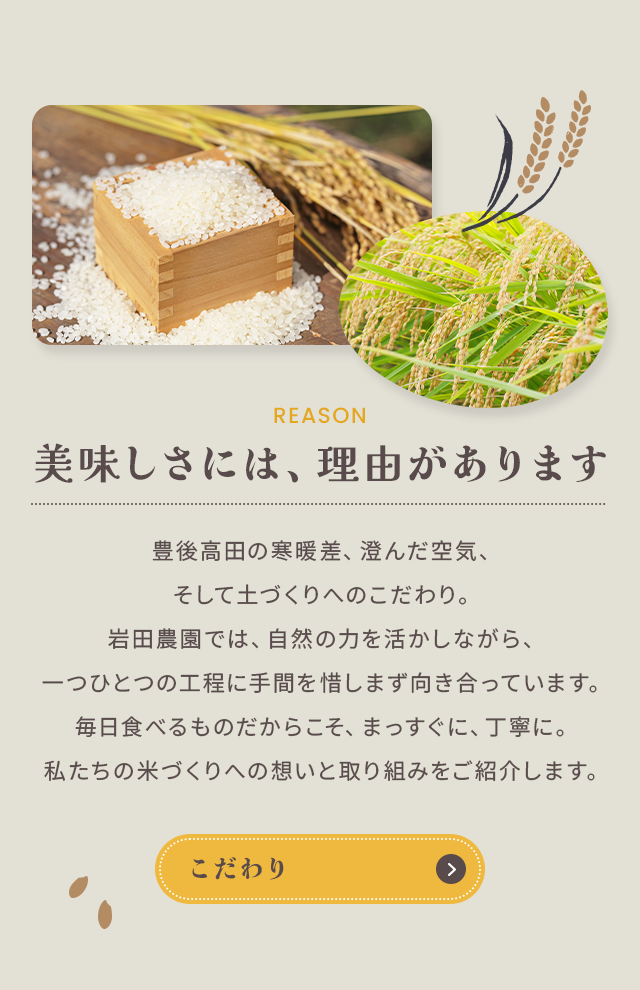 sp_secondmain